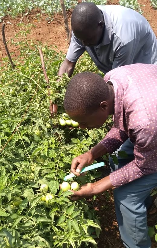 Community training